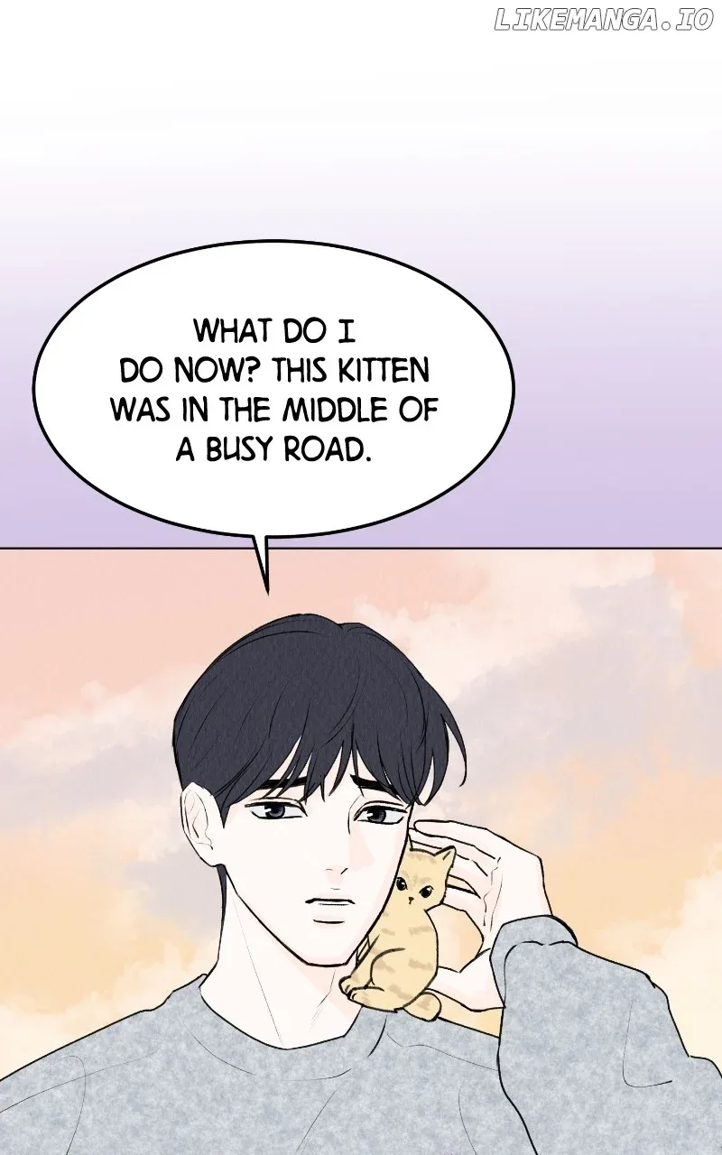 Want to See My Cat? Chapter 29 page 4