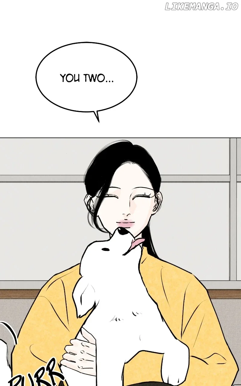 Want to See My Cat? Chapter 25 page 43