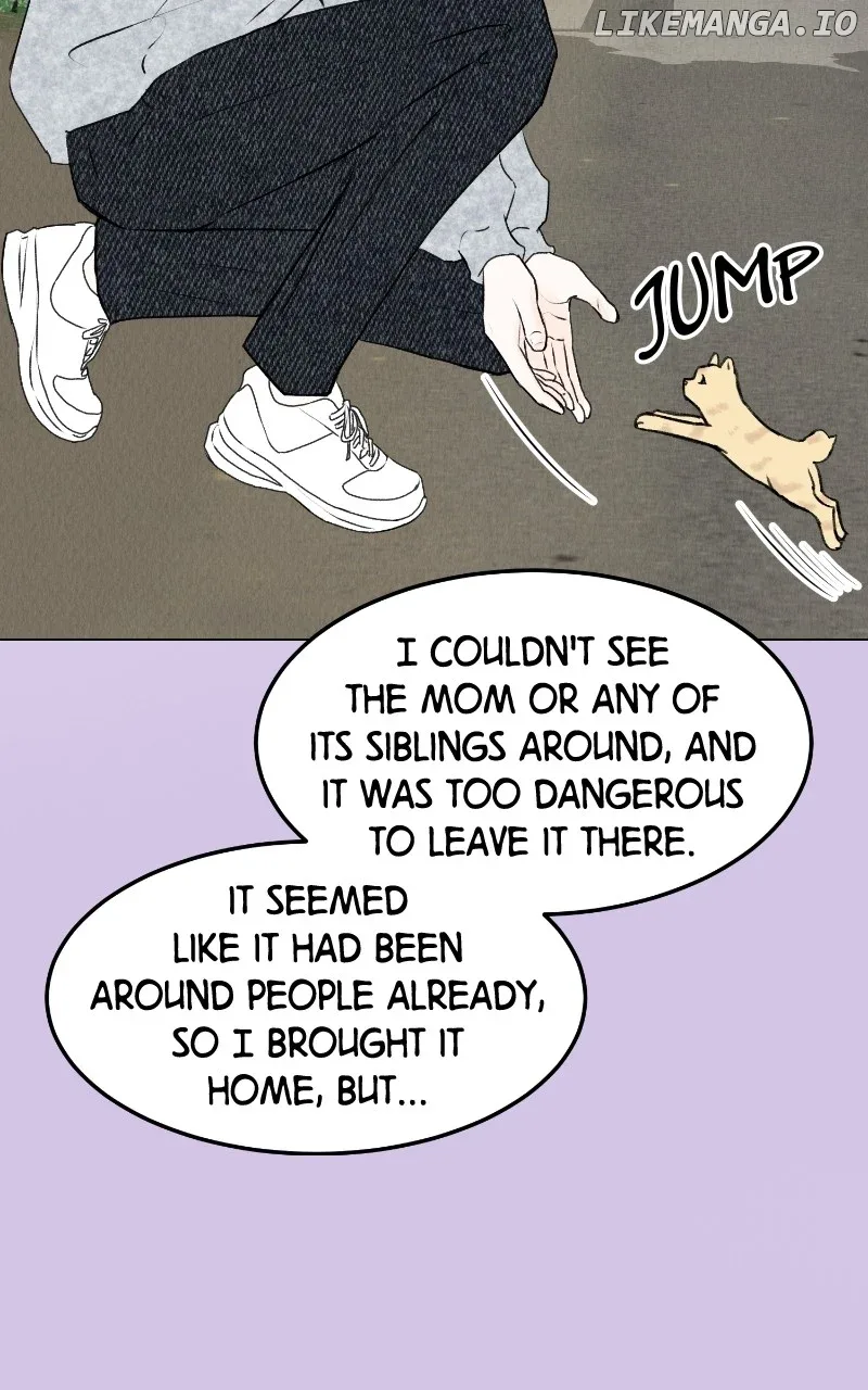 Want to See My Cat? Chapter 29 page 6