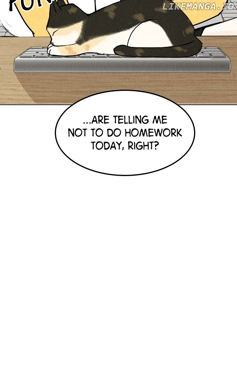 Want to See My Cat? Chapter 25 page 44
