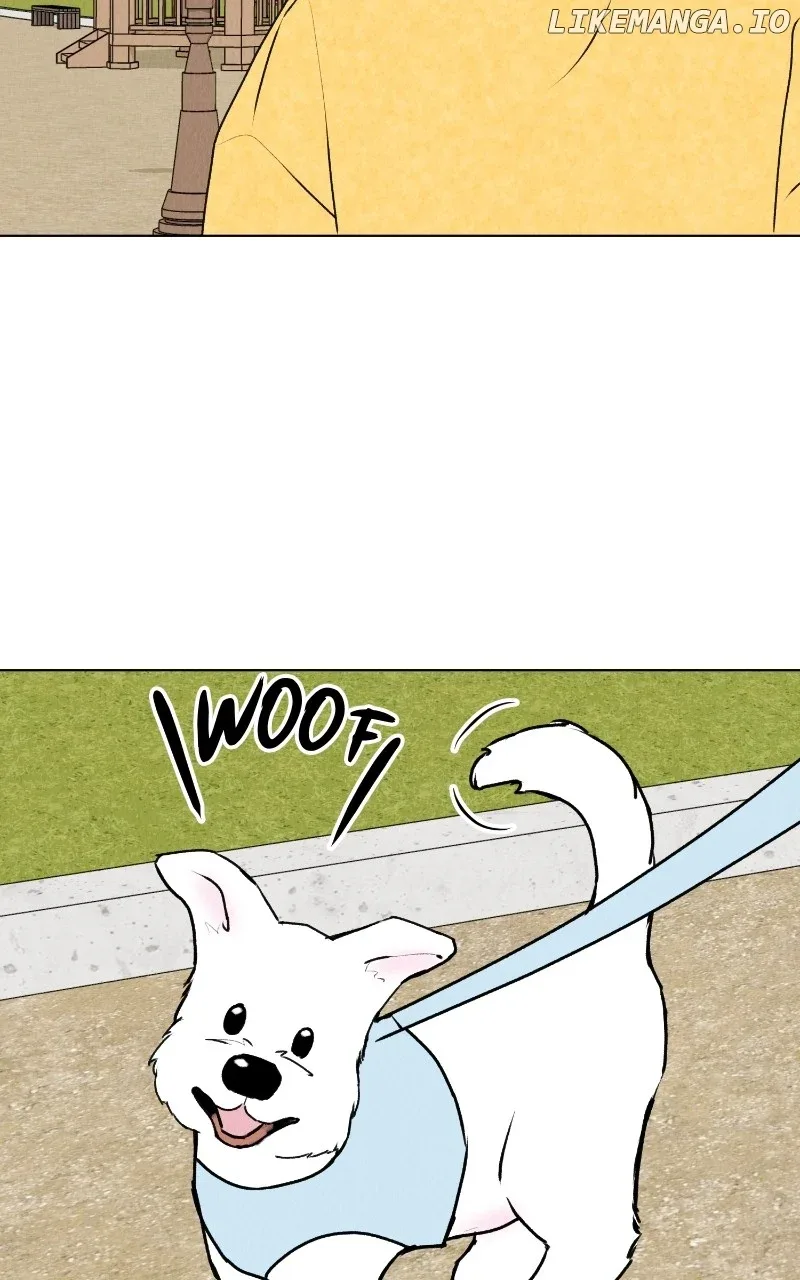 Want to See My Cat? Chapter 25 page 47