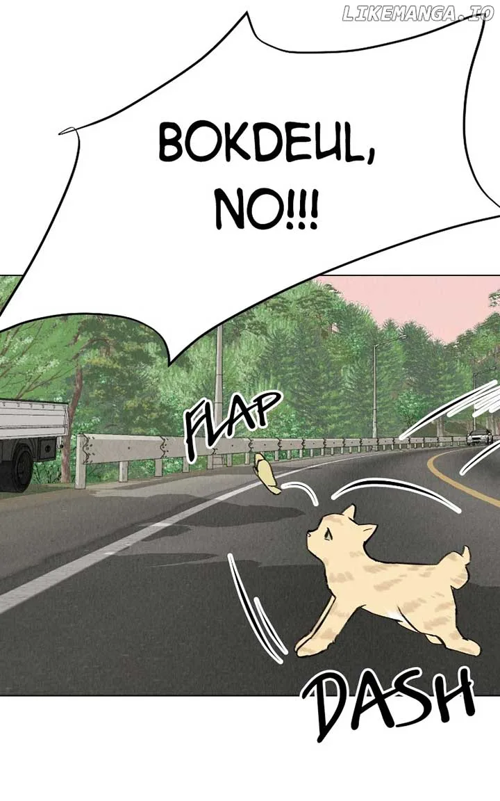 Want to See My Cat? Chapter 30 page 87