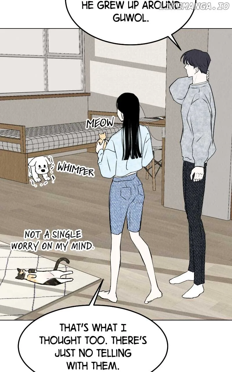 Want to See My Cat? Chapter 31 page 18
