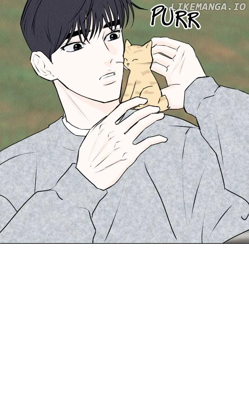 Want to See My Cat? Chapter 31 page 6