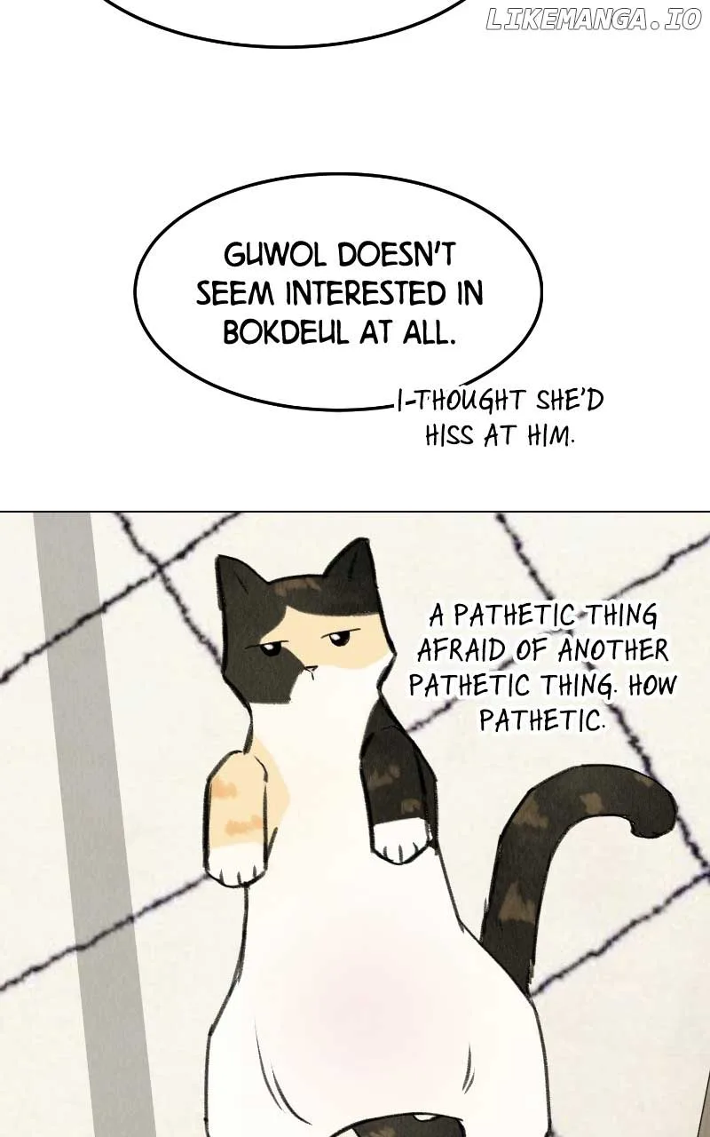 Want to See My Cat? Chapter 31 page 19