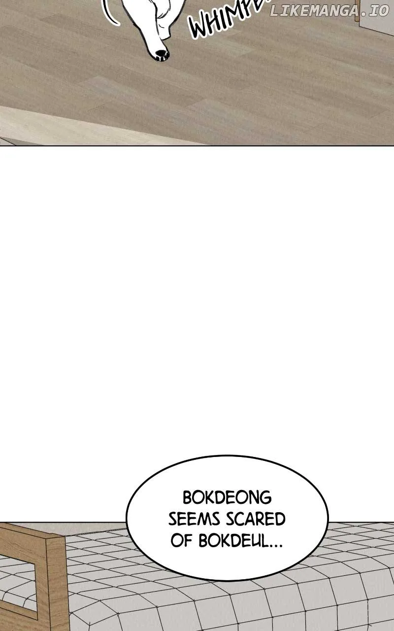 Want to See My Cat? Chapter 31 page 16