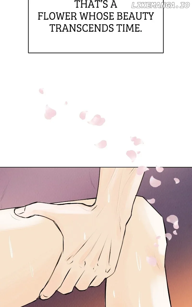 Want to See My Cat? Chapter 32 page 63