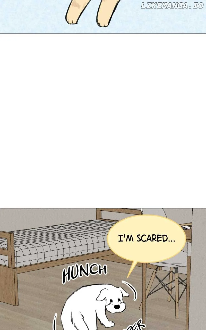Want to See My Cat? Chapter 31 page 15
