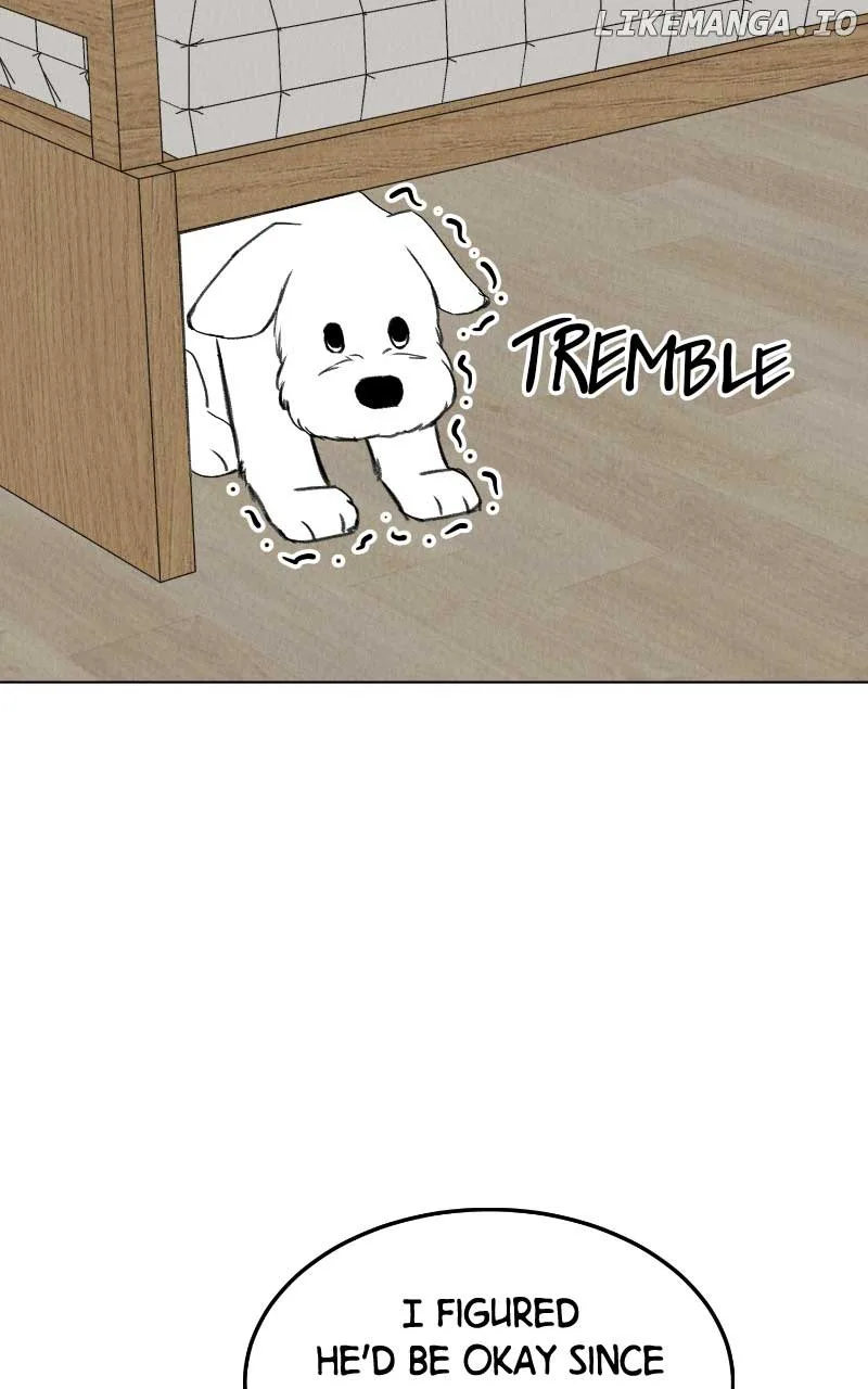 Want to See My Cat? Chapter 31 page 17