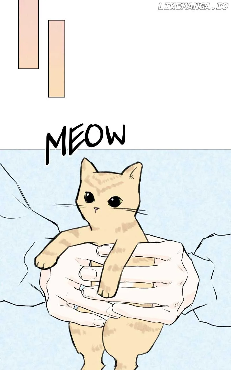 Want to See My Cat? Chapter 31 page 14