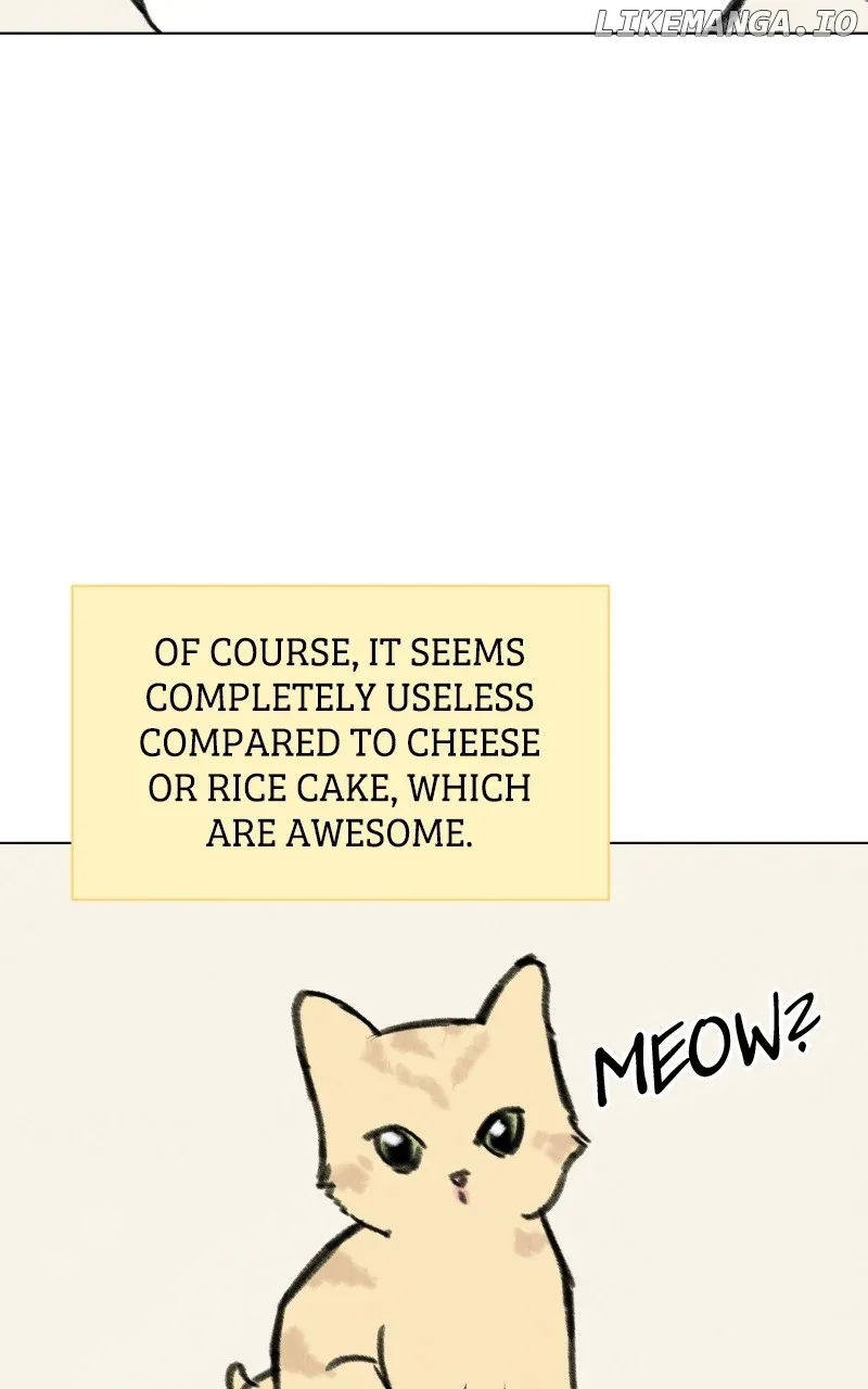 Want to See My Cat? Chapter 33 page 18