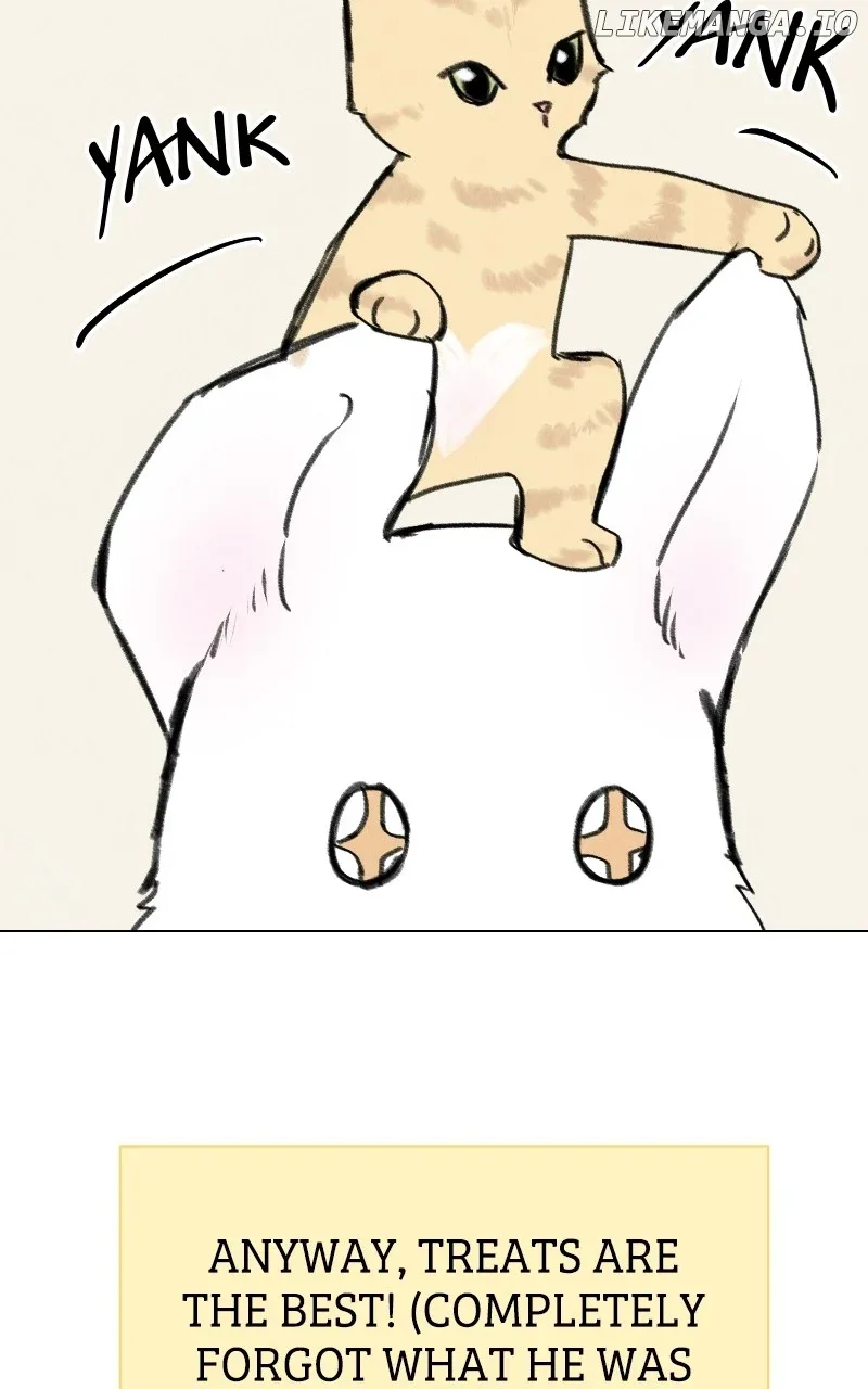 Want to See My Cat? Chapter 33 page 30