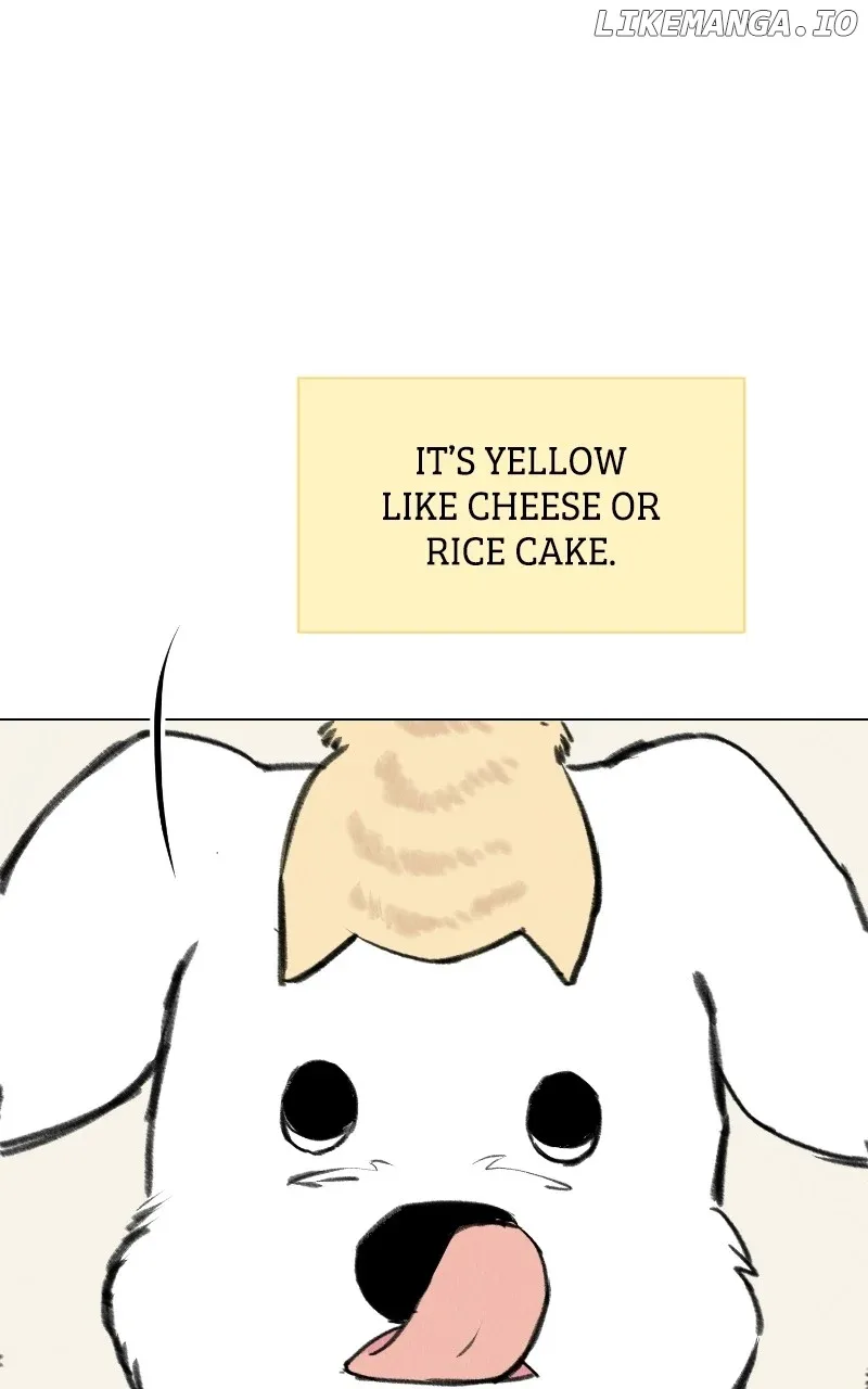 Want to See My Cat? Chapter 33 page 17