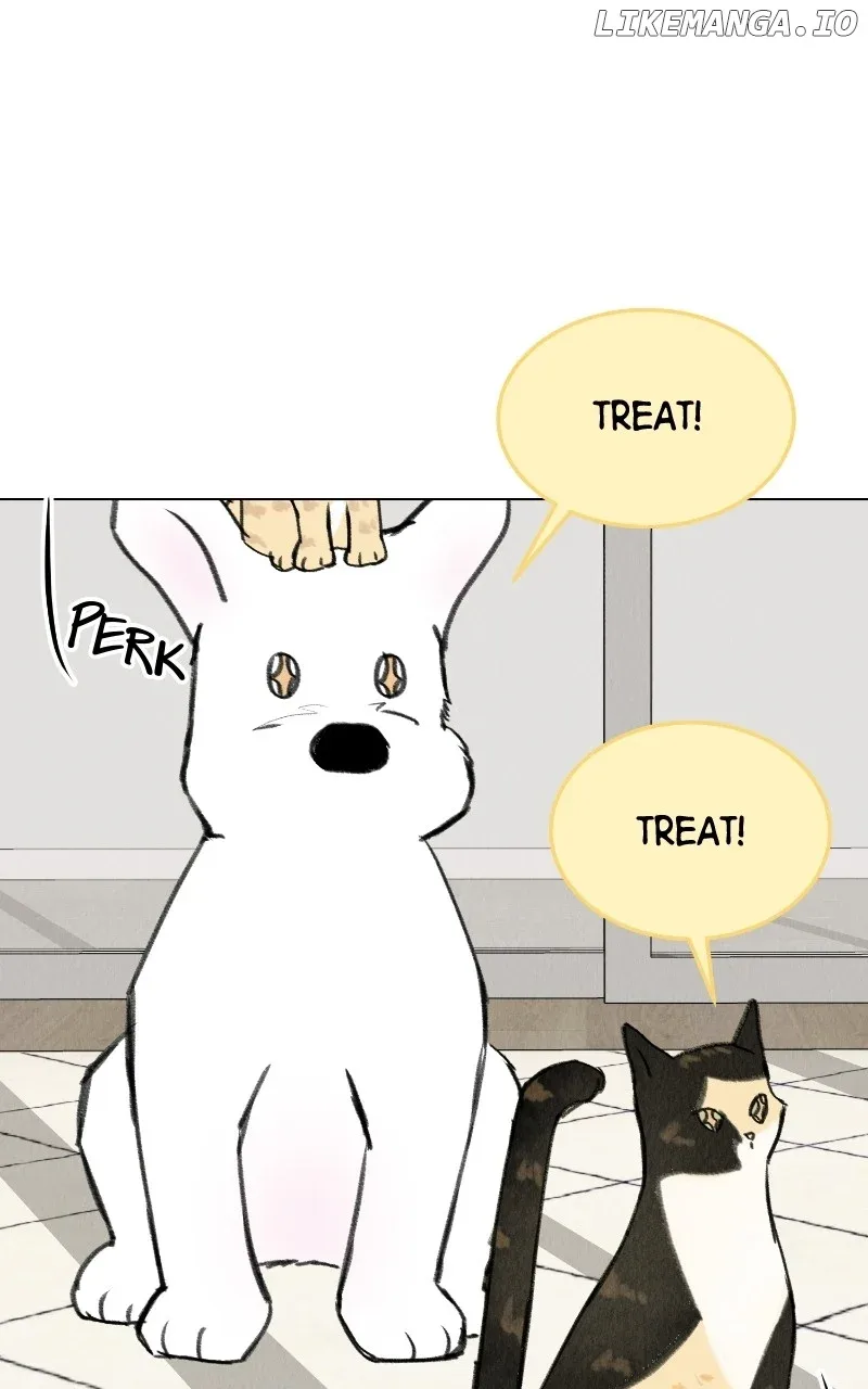 Want to See My Cat? Chapter 33 page 28