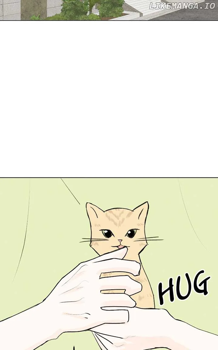 Want to See My Cat? Chapter 35 page 71