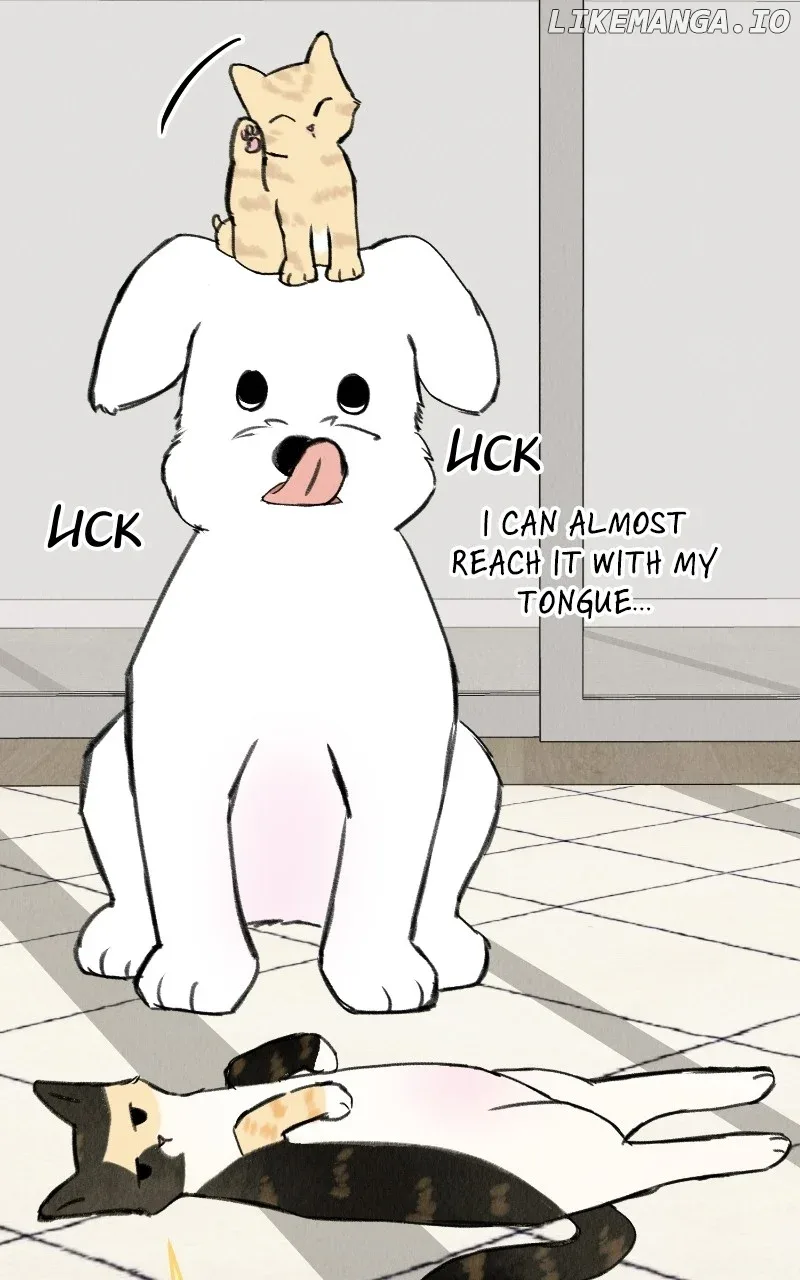 Want to See My Cat? Chapter 33 page 20