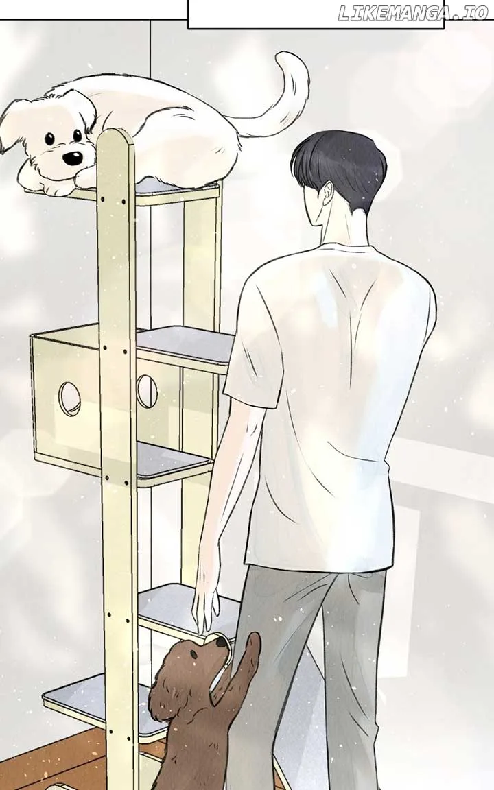 Want to See My Cat? Chapter 35 page 82