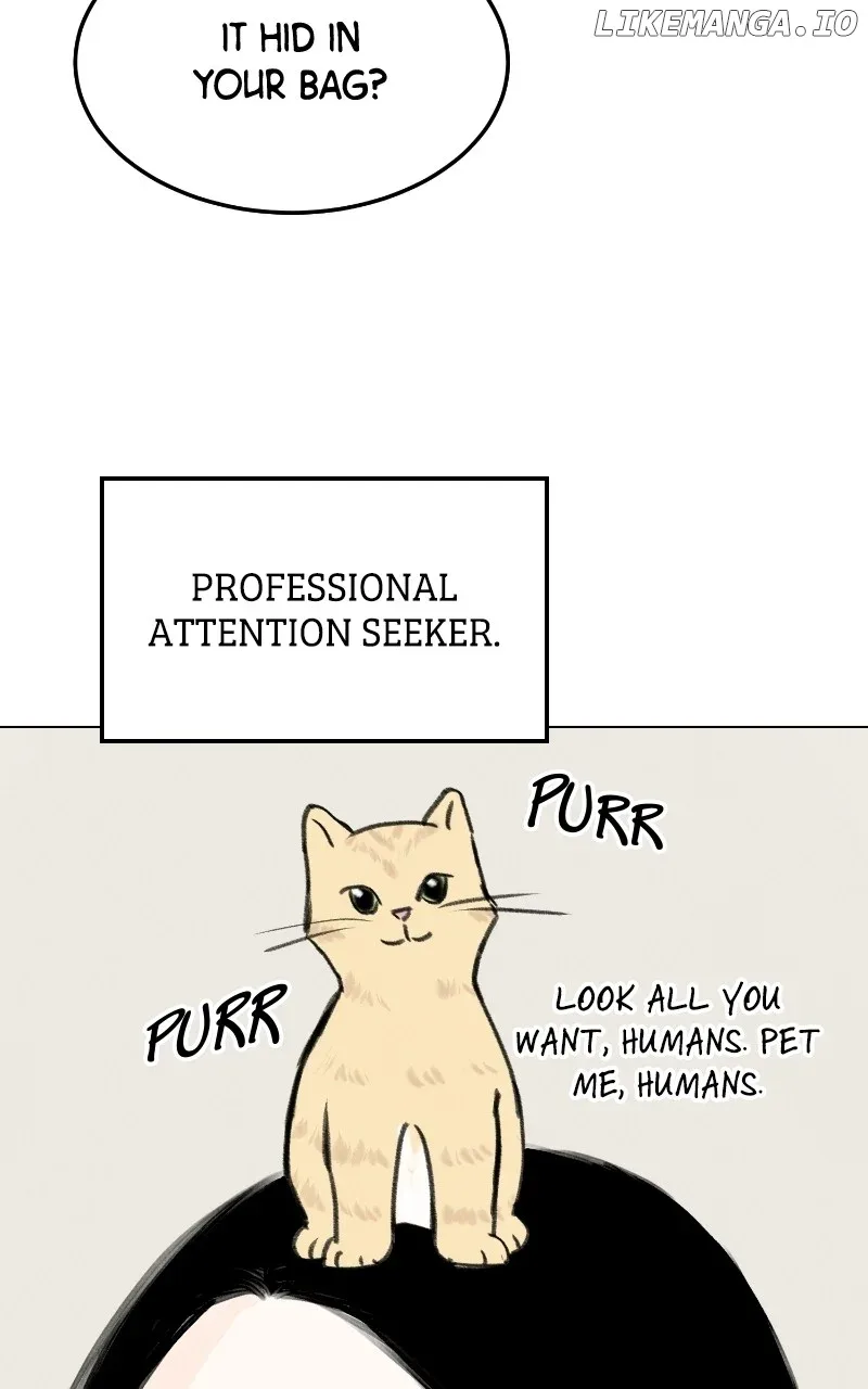 Want to See My Cat? Chapter 34 page 59
