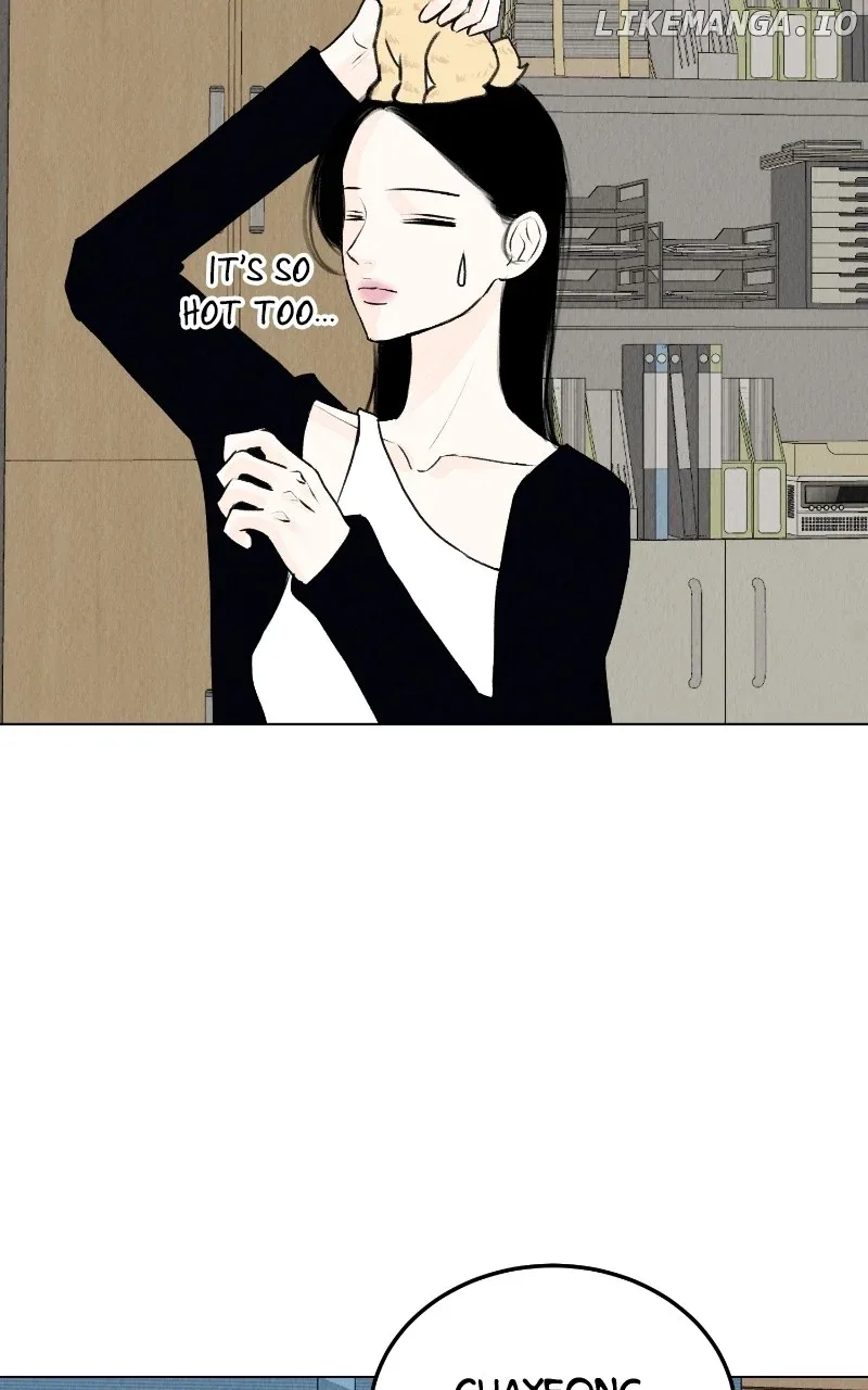 Want to See My Cat? Chapter 34 page 61