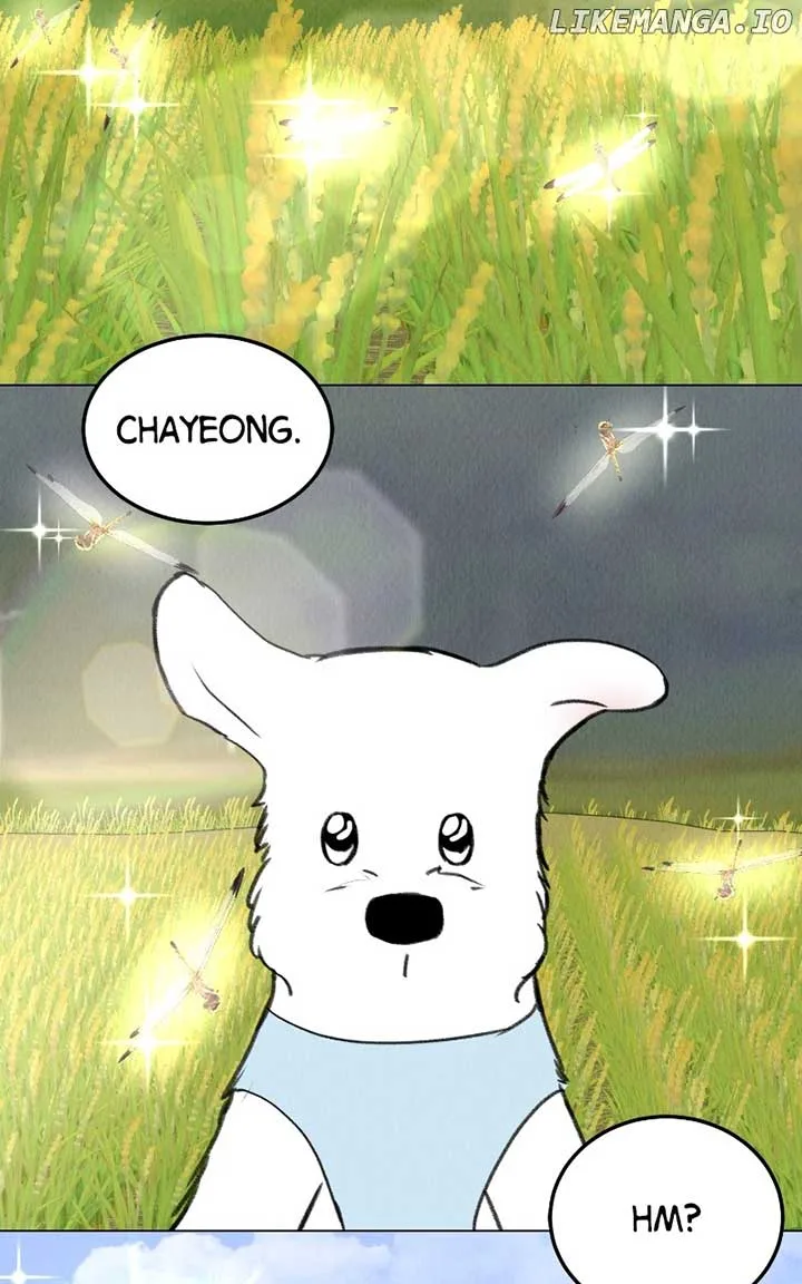 Want to See My Cat? Chapter 36 page 84