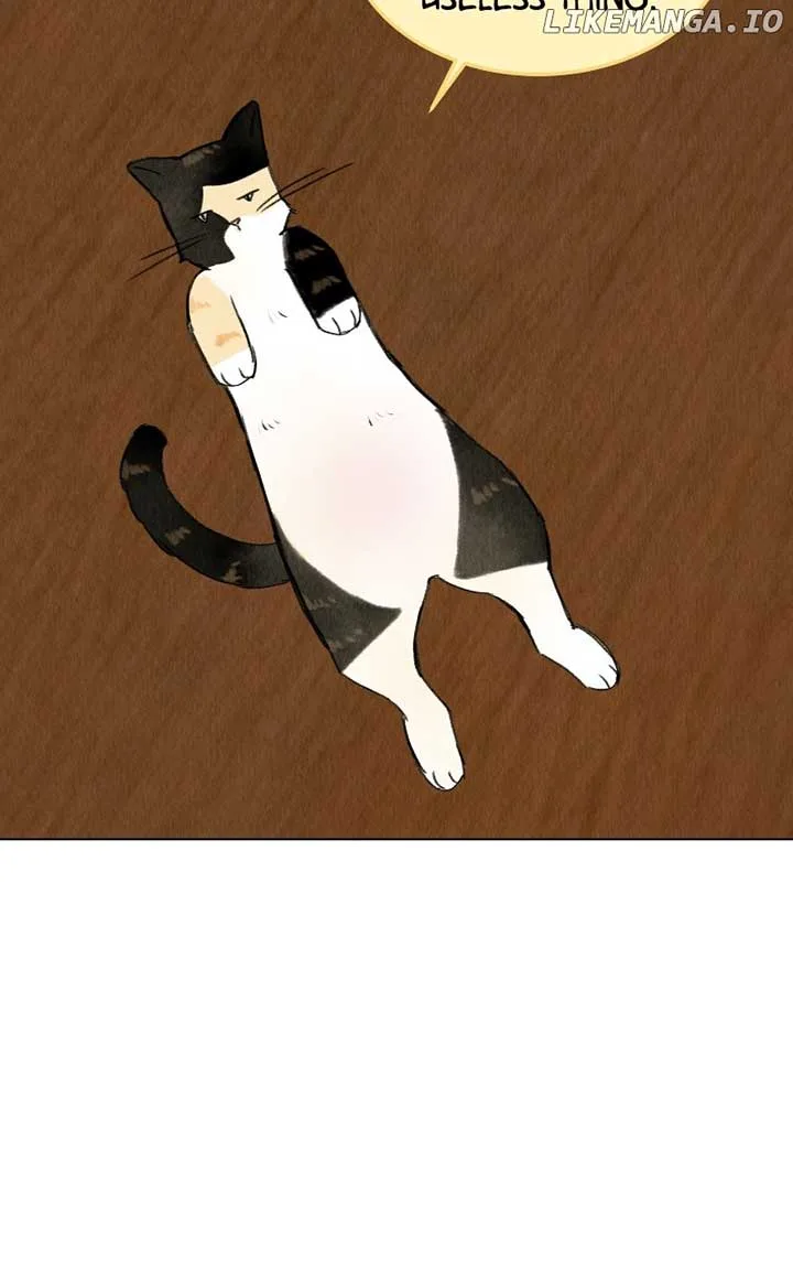 Want to See My Cat? Chapter 38 page 52