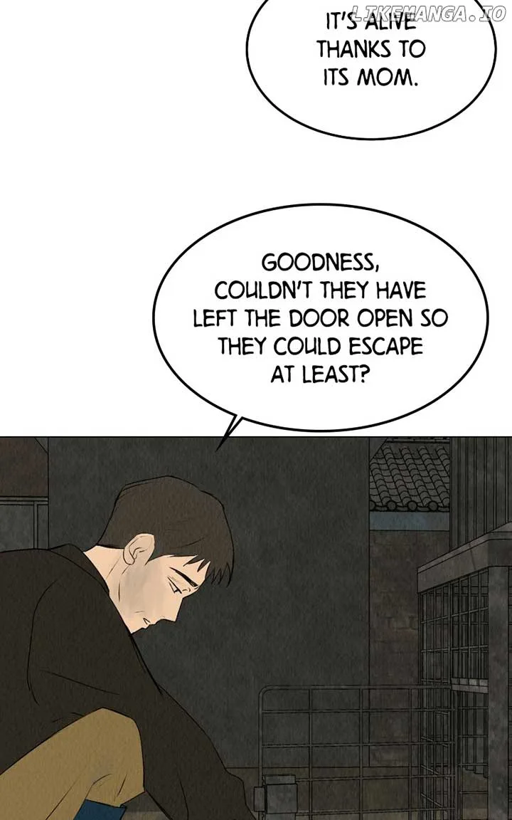 Want to See My Cat? Chapter 38 page 41