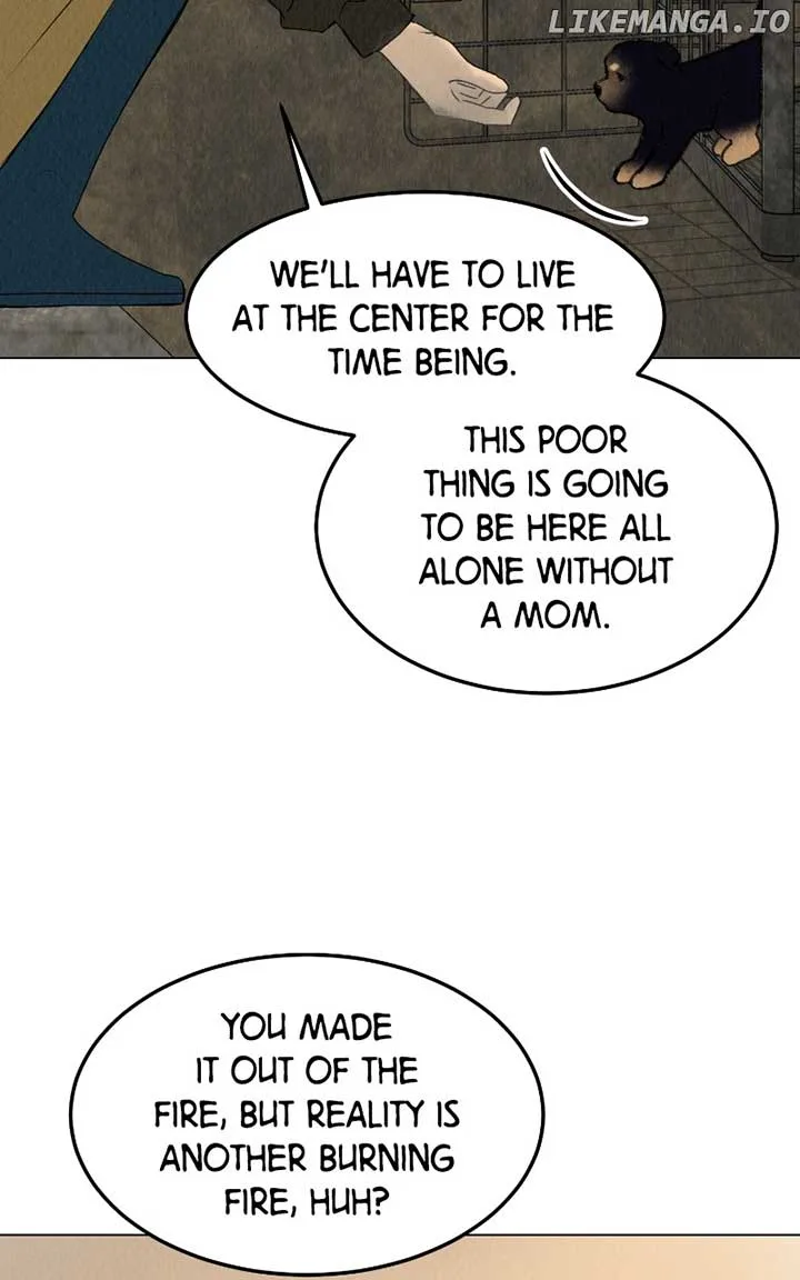 Want to See My Cat? Chapter 38 page 42