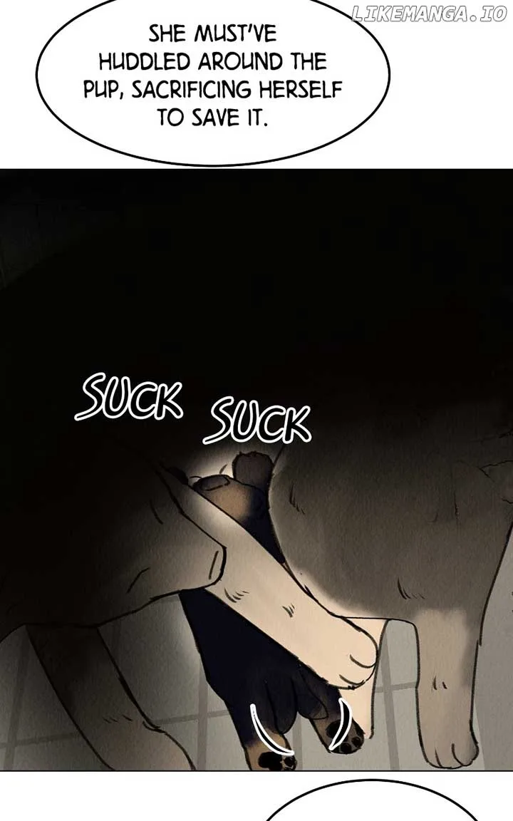 Want to See My Cat? Chapter 38 page 40