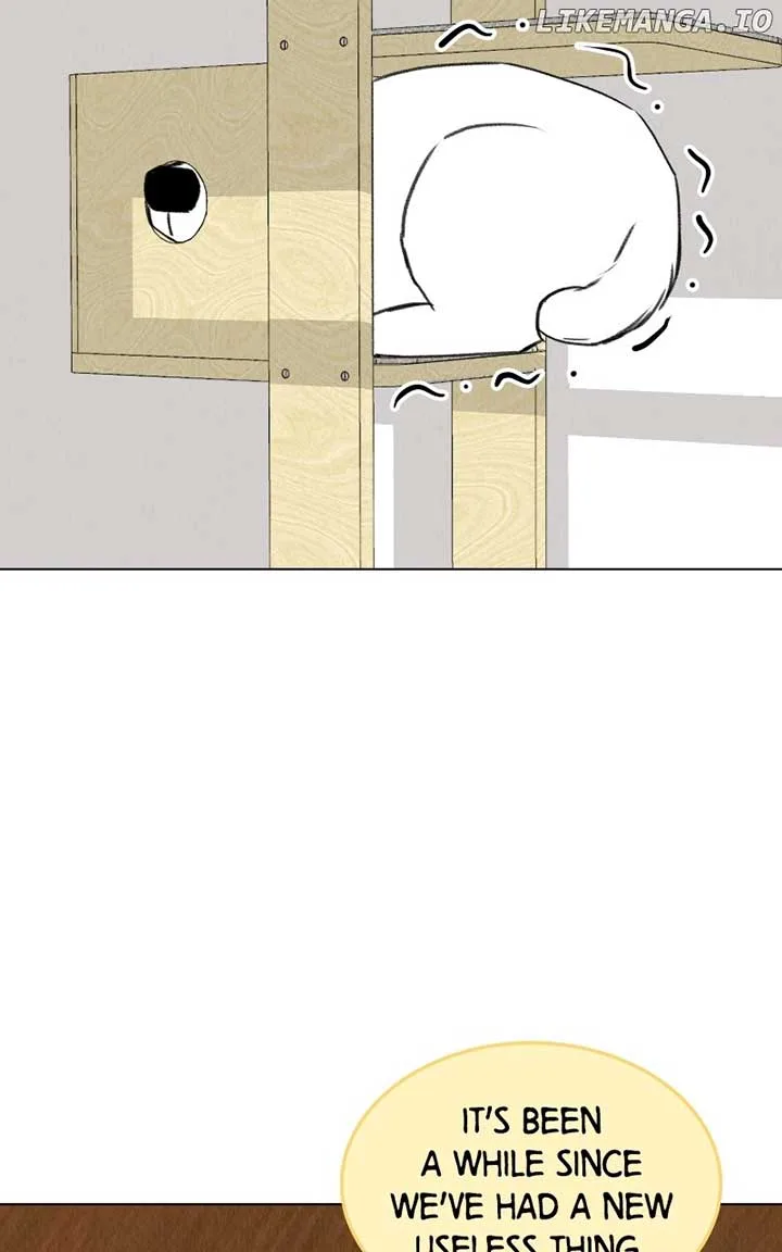 Want to See My Cat? Chapter 38 page 51