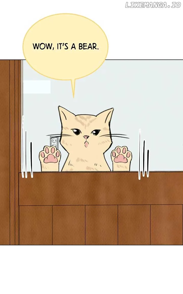 Want to See My Cat? Chapter 38 page 53
