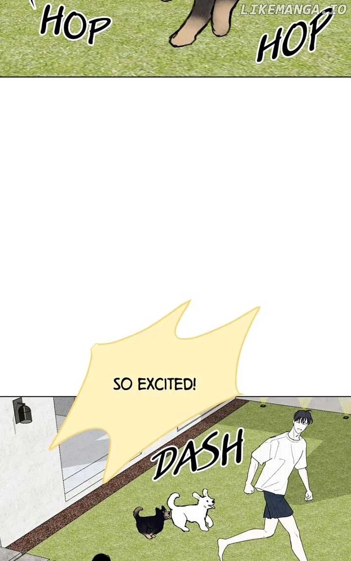 Want to See My Cat? Chapter 41 page 52
