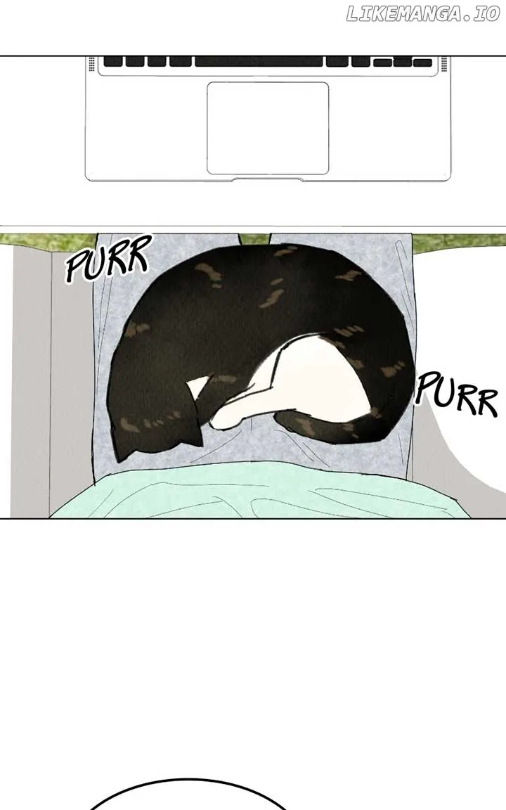 Want to See My Cat? Chapter 41 page 39