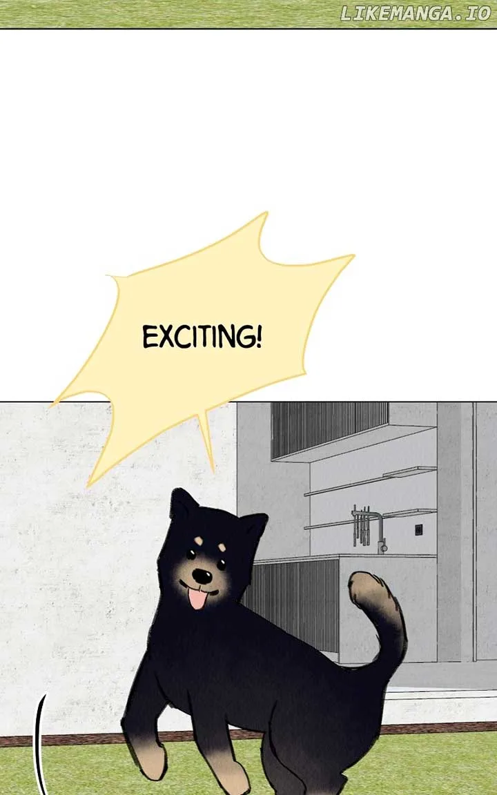 Want to See My Cat? Chapter 41 page 51