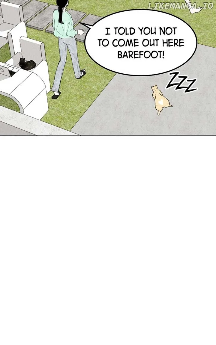 Want to See My Cat? Chapter 41 page 53