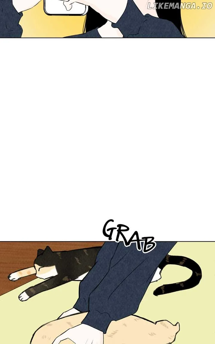 Want to See My Cat? Chapter 39 page 30