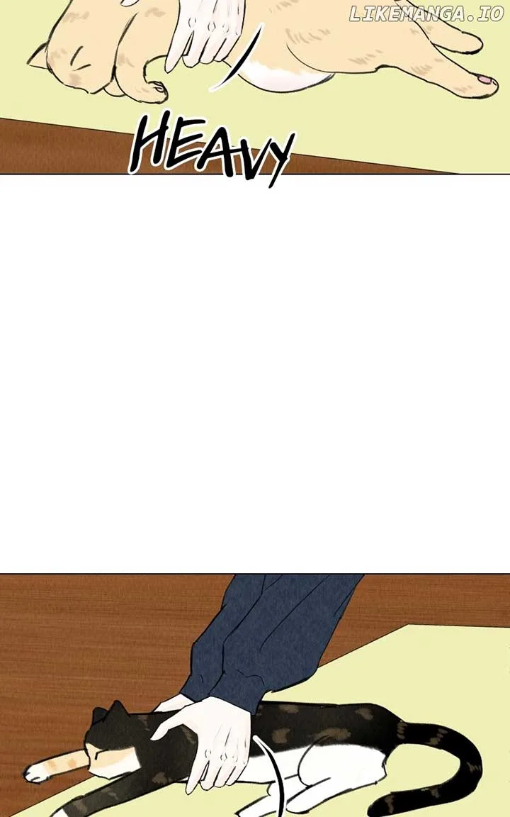 Want to See My Cat? Chapter 39 page 31