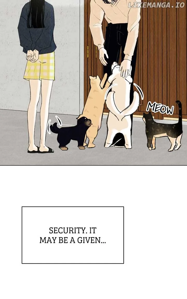 Want to See My Cat? Chapter 39 page 36