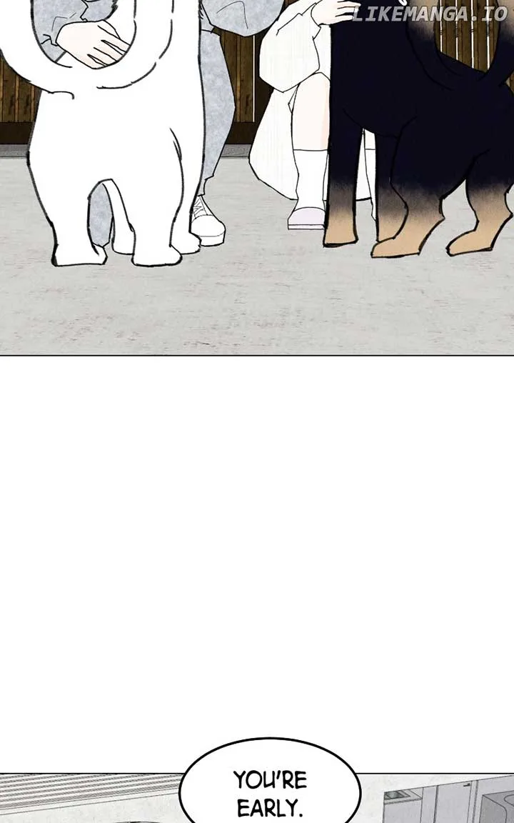 Want to See My Cat? Chapter 45 page 39