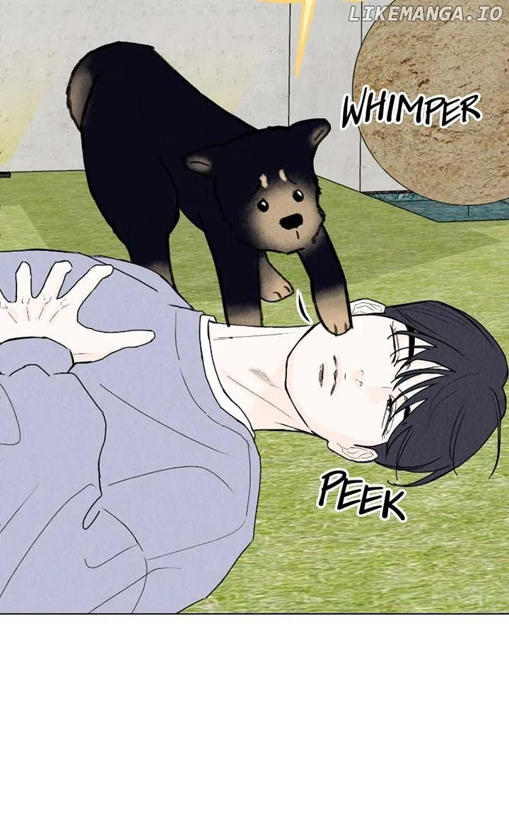 Want to See My Cat? Chapter 42 page 55