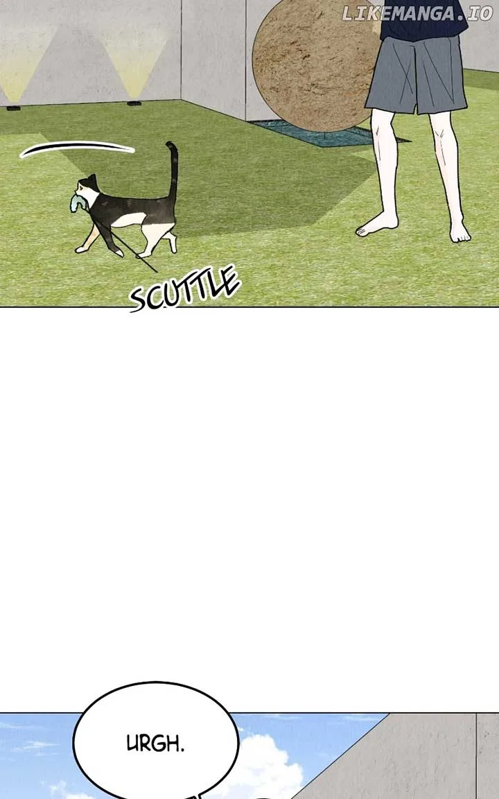 Want to See My Cat? Chapter 43 page 24