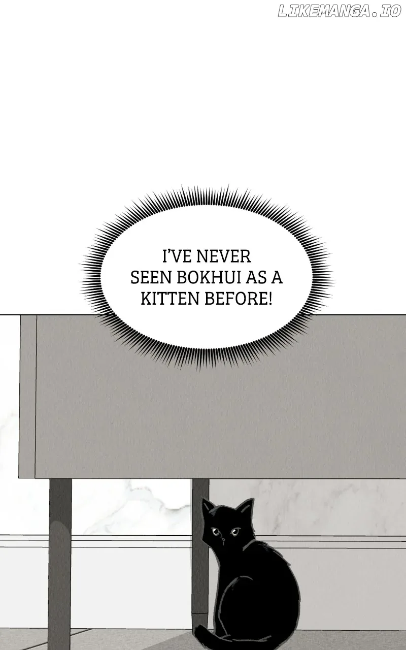 Want to See My Cat? Chapter 47 page 27