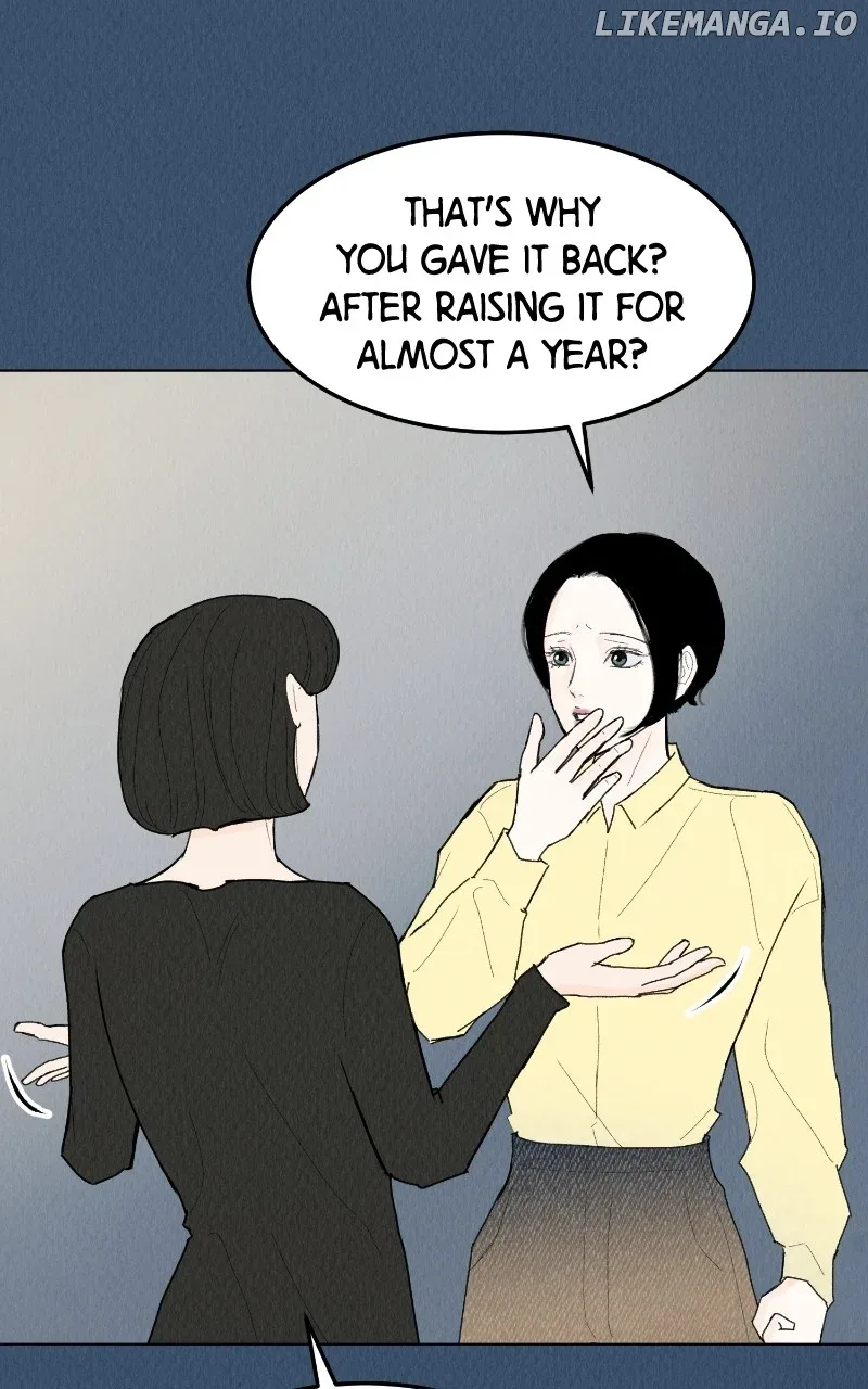 Want to See My Cat? Chapter 47 page 7
