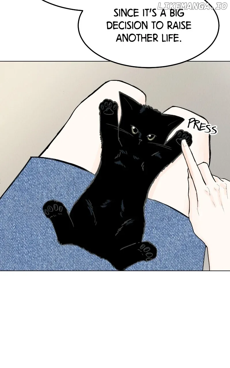 Want to See My Cat? Chapter 47 page 38