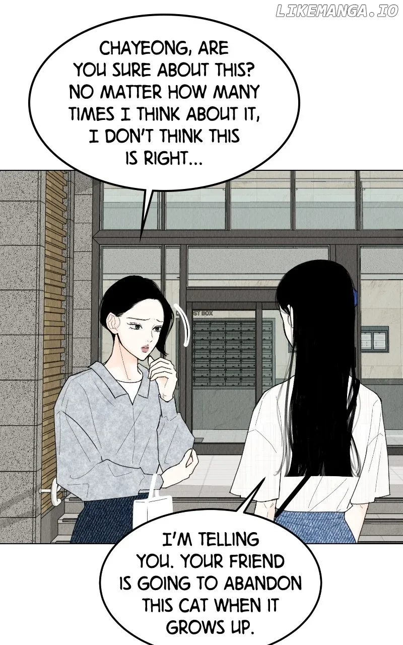 Want to See My Cat? Chapter 47 page 3