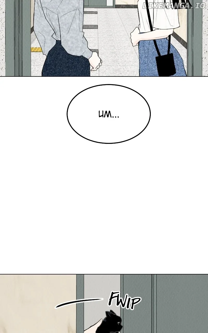 Want to See My Cat? Chapter 47 page 48