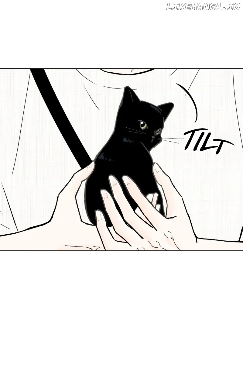 Want to See My Cat? Chapter 47 page 53