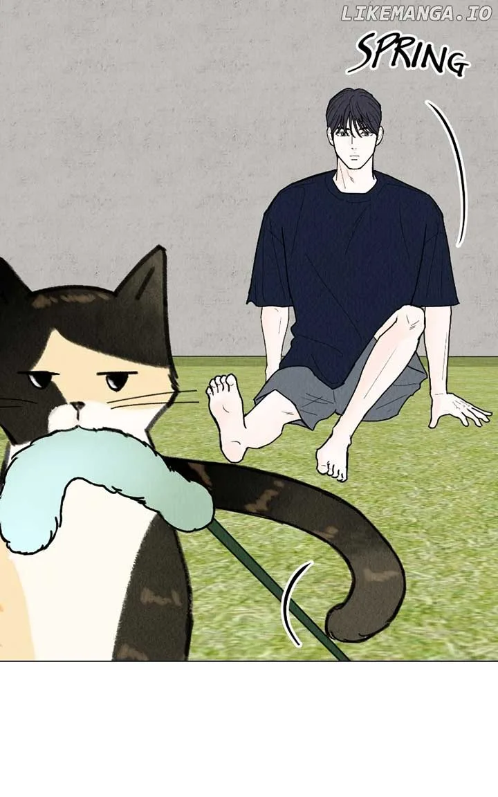 Want to See My Cat? Chapter 43 page 30