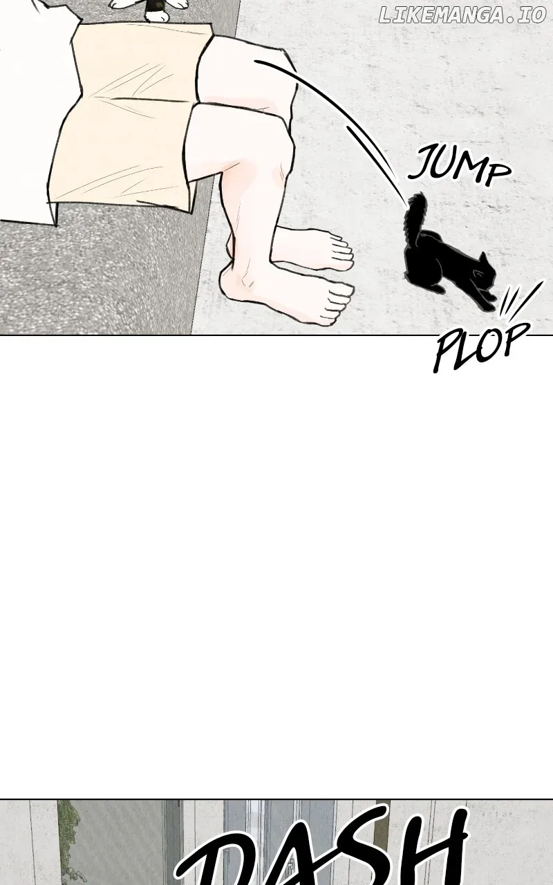 Want to See My Cat? Chapter 48 page 38