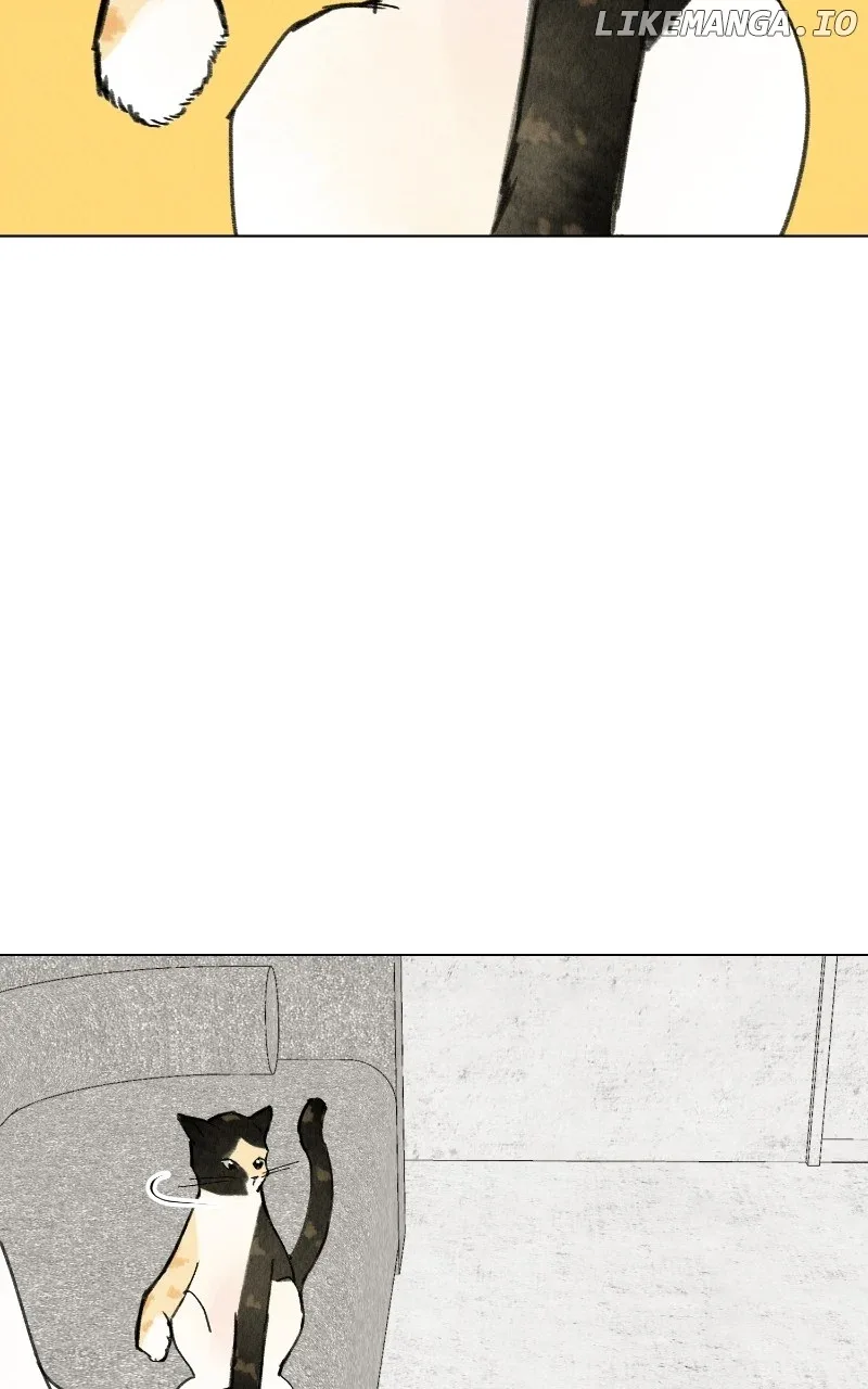 Want to See My Cat? Chapter 48 page 37