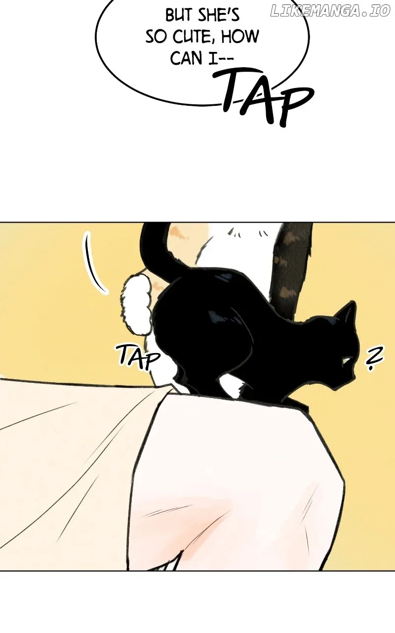 Want to See My Cat? Chapter 48 page 35